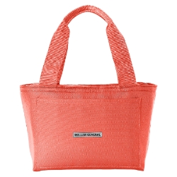Insulated Lunch Tote 
