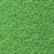 Turf Green